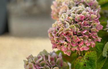 Chambre en pierre - Foto 20