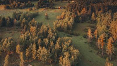 FreeDom House - Foto 2