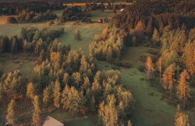 FreeDom House - Foto 2