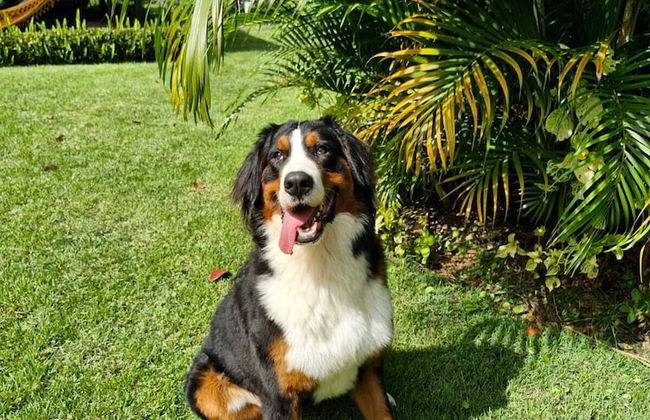 Downtown Suites - Foto 53