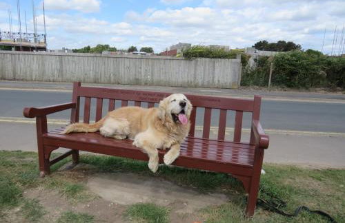The Tack Room at Eastmoor Farm Fantastic 2 Bed Dog Friendly Luxury Cottage with Secure Gardens and Onsite Parking - Foto 28