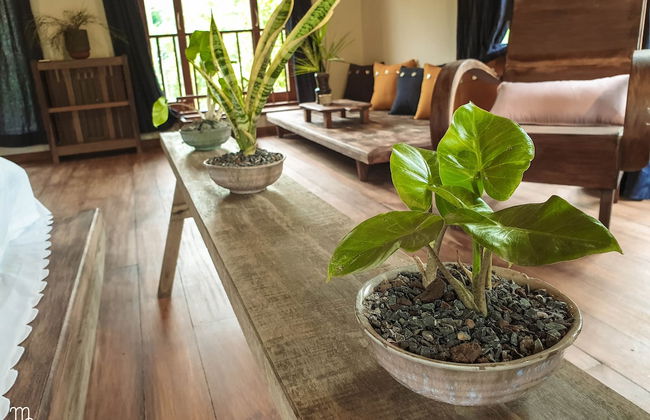 Maison Que - Foto 24