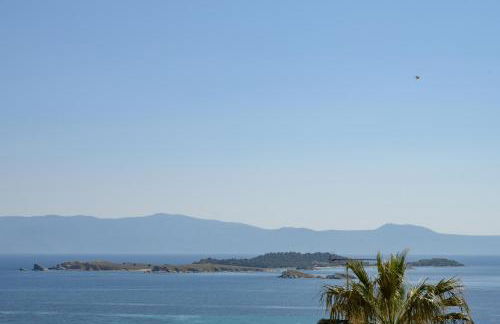 PENSION STELIOS - Photo 17