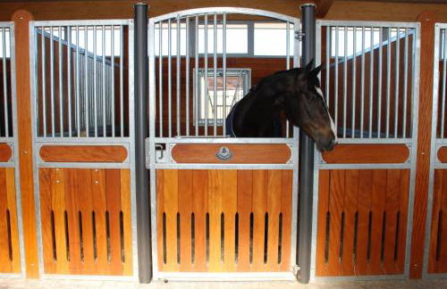 Domaine équestre de la Chênaie - Foto 19