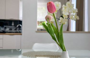 Apartman Stipić 1 - Photo 45