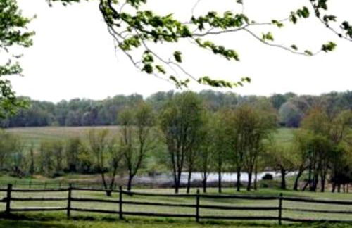 Pleasant Cozy Airstream with Amazing Stargaze and Farm Views in Maryland - Foto 19