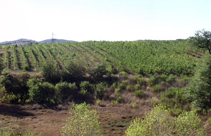 Agriturismo Quarto Podere - Photo 31