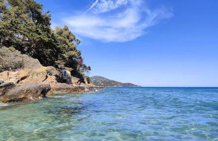 Appartement à Pramousquier Le Lavandou - Foto 15