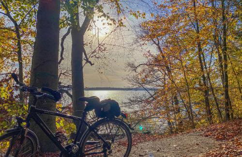 Kugelhaus Tamika - Sauna, Whirlpoolwanne und Kamin am Tollensesee - Foto 40