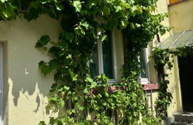 3 Floor XXL House, 7 Rooms, 2 Kitchen, 15 Minutes to Frankfurt, Washing Machine - Foto 4