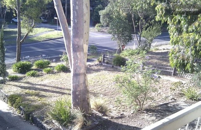 Eltham Retreat - Photo 47