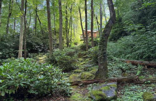 Tree Top Mountain Lodge - Photo 72