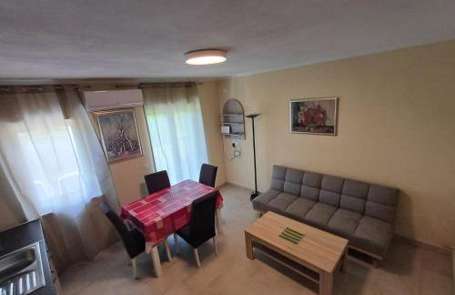 Apartman Aurora Salakovci - Photo 10