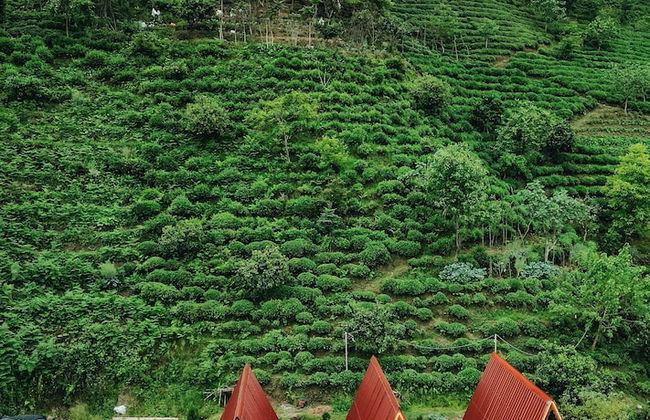 Mapavri Suit Bungalov - Foto 11