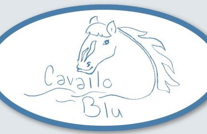 Cavallo Blu - Foto 15