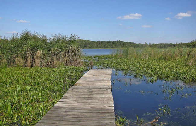 Holiday Home by Lake Wilkasy With Rowboat - Foto 29