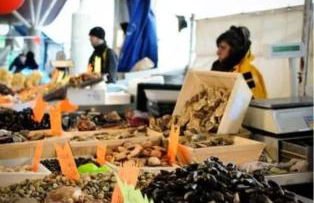 Villa Riva-Mela - Photo 6