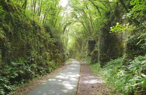 Sur la Cave - Foto 31