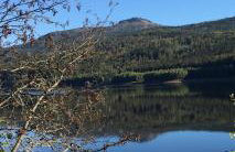 Das Alte Forsthaus Spiegelhütte - Foto 19