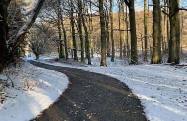 Landhaus „Blattgold“ - Foto 26