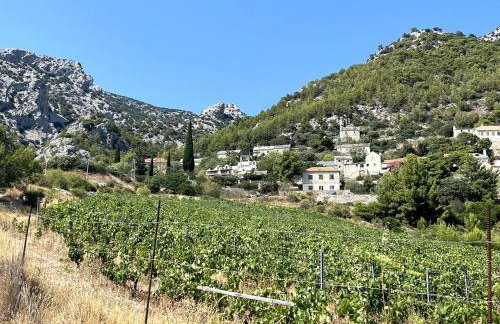 Kameni cvijet - Foto 13