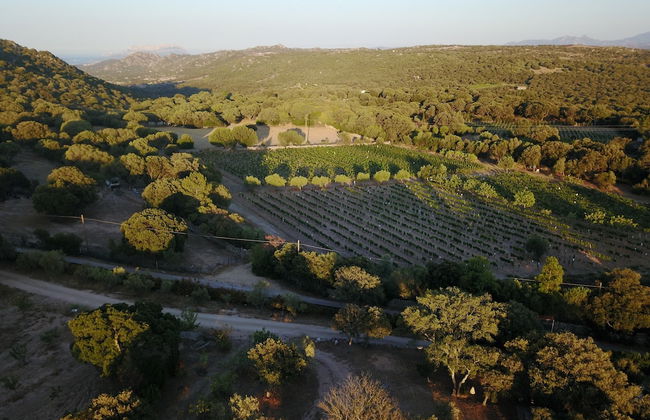 Holiday Home in Telti Near Beach - Foto 61