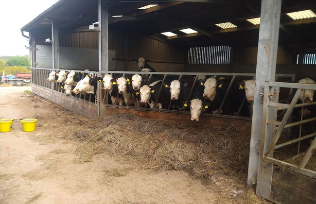 Open Plan Studio by Alton Towers - Foto 7