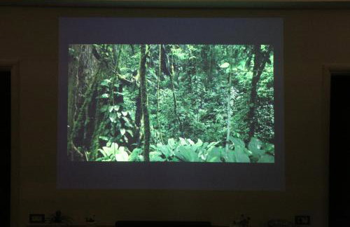 Unity Villa - Foto 33