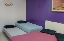 Guest House Renascer K&W - Foto 65