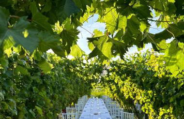 Agriturismo Oasi Biologica - Foto 34