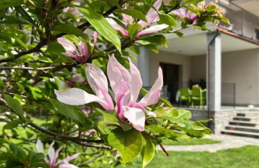 Casa Dolce Casa - Foto 6