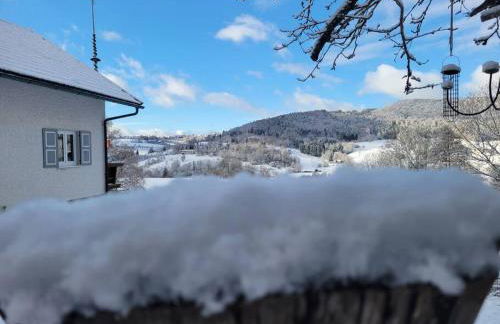 Sonnwies - Erholung pur im Bayerischen Wald - Foto 9