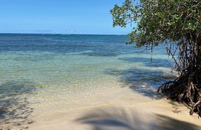 Pretty Caribbean Style Villa - Photo 17