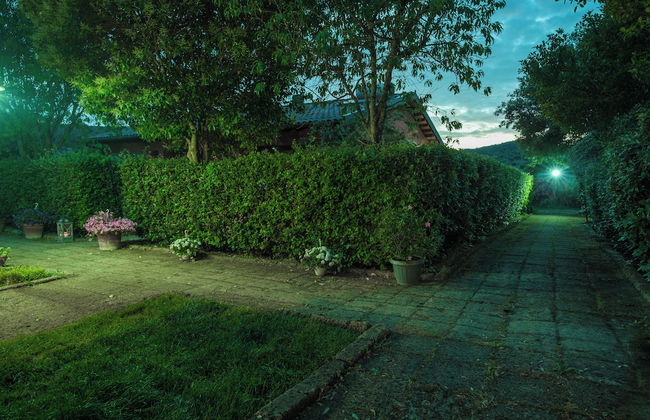 Agriturismo Niccoland - Foto 77