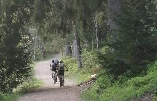 Blackforest Perla - Foto 35