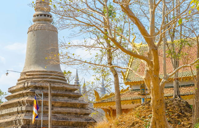 Wat Vipassana Dkurak & Udong Private Day Trip - Foto 1