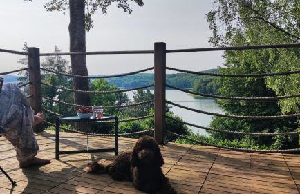 Widokówka Zacisze - Foto 32