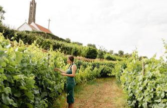 Casa das Nogueiras - Foto 55