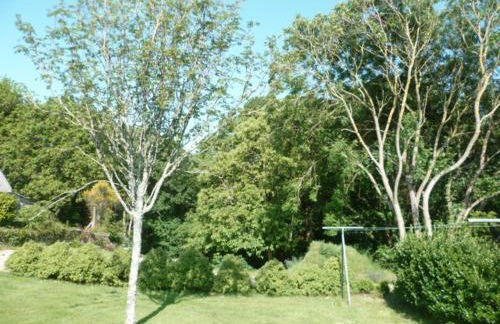 P'ty gîte de Bréharadec - Foto 12