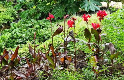 Gîte le Vallon à Chambretaud, 5 min du Puy du Fou - Photo 40