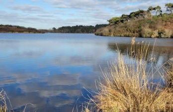 T3 “Groix“- 50 m de la plage de Fort Bloqué/Ploemeur - Foto 28