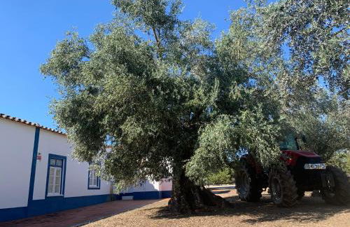Quinta do Céu Tranquilidade e Piscina no Alentejo - Foto 51