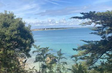 Studio Ty Cool, jardin 200m carré, 50m plage, wifi, parking - Foto 13