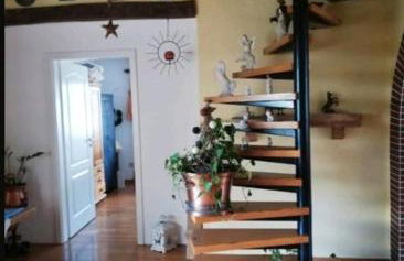 Eselhof Oberlascheid - Foto 6