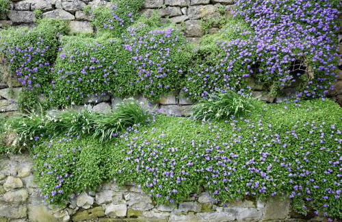 2 Bed in Ashford-in-the-Water PK932 - Foto 11