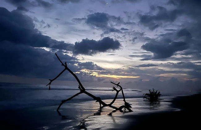 Casa de los Kobiera - Foto 51