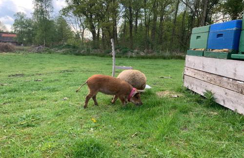 Ferienwohnung Süderfeld - Foto 6