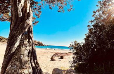 Villa Stella, with garden, five minutes from the beach - Foto 31