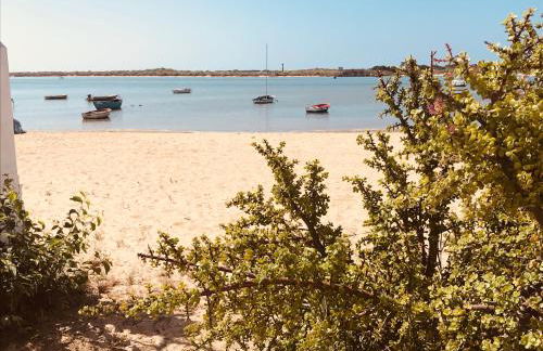 Playa San Miguel - Foto 45