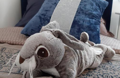 Vitez's House Novigrad/Knight's House Novigrad - Foto 24